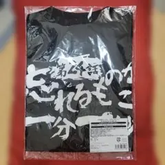 グレンラガン サブタイトルTシャツ 忘れるものかこの一分一秒を　Mサイズ