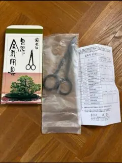 2025年最新】昌国 盆栽の人気アイテム - メルカリ