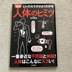 Item thumbnail for item 076b212c-8005-4ce4-800d-22b20d7e7e76