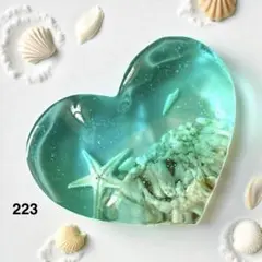 223ハートの海のかけら ミニ 天然ヒトデ
