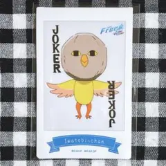 Free! FS jacket cd ランダム チェキ カード イワトビちゃん