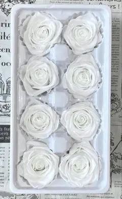 きょんまま様 リクエスト 3点 まとめ商品