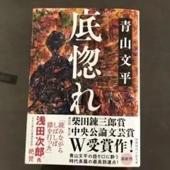 青山文平『底惚れ』