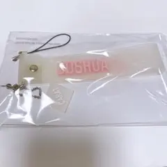 SEVENTEEN ペンミ HARE ペンライトストラップ ジョシュア