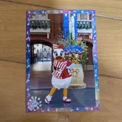 ディズニー 2009年 お正月 スペシャルフォト デイジー