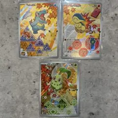 ポケモンカード 30周年記念 プロモ 英語版 イッシュ ガラル 6枚セット