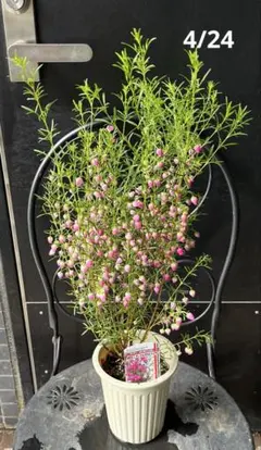 なぁちゃん様 リクエスト 2点 まとめ商品