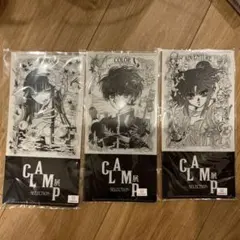 CLAMP　クリアファイルセット クリアファイルセットA」（4枚入り）に封入される「CLOVER」の