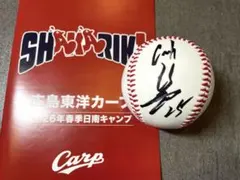2026年最新】新井貴浩 サインの人気アイテム - メルカリ