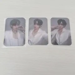 DEXX Teetee Photocards フォトカード トレカ DMD