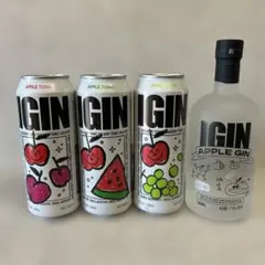 2025年最新】BTSジンIGIN限定ボトルの人気アイテム - メルカリ