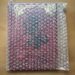 ポケモン スカーレット 購入特典未開封