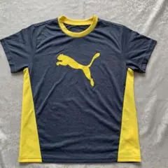 PUMA プーマ ④ Tシャツ　size150