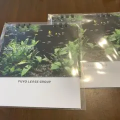 Item thumbnail for item 2e3bb0c5-988f-406a-bb13-4651fda83da7