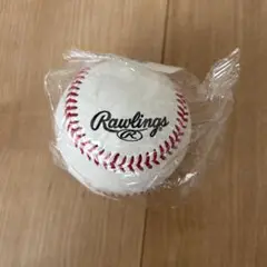 Rawlings 硬式練習球 R452PR(1)
