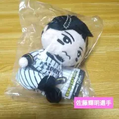 阪神タイガース スポーツ選手