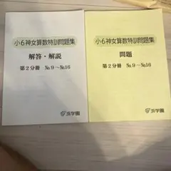 小6神女算数特訓問題集 解答・問題セット　第2分冊