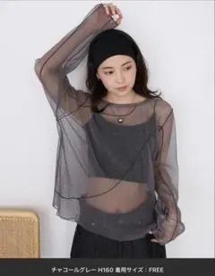 シースルー 長袖 トップス 2WAY ニュアンス ラメ シアートップス 新品のサムネイル