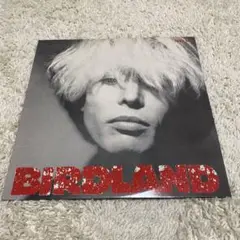 Birdland / Paradise　LP