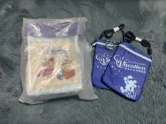 ディズニー　バケーションパッケージ　ポップコーンケース　ショルダーバッグ