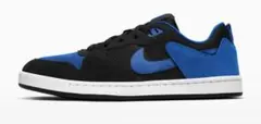 《最安値！即発送！》Nike SB アリウープ　ブラック/ブルー スニーカー