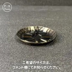 12G 受け皿 作家鉢 植木鉢 3Dプリント鉢 3Dプリンター鉢 アガベ 塊根のサムネイル