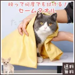 Item thumbnail for item 03d4d69b-5807-46e4-a6c5-a940c5ff56fa