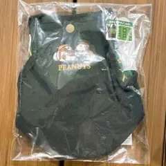 Item thumbnail for item b41a2bec-2601-4bdc-95af-5200ed1b340a