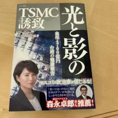 Yamaさん専用:光と影のTSMC誘致