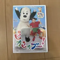 いないいないばあっ！ ピカピカブ〜！ DVD
