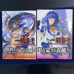 2026年最新】一騎当千 artの人気アイテム - メルカリ