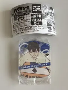 ハイキュー!! play!バレーボールアクリルスタンド 影山飛雄