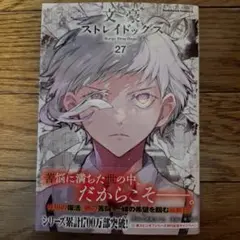 文豪ストレイドッグス (27)