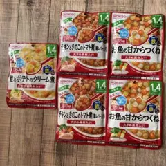 WAKODO 離乳食セット
