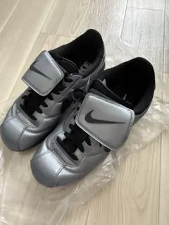 Nike シルバー コルテッツ　SE