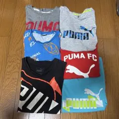 Item thumbnail for item e1c638ea-315c-4551-b0f7-6865d09711f6