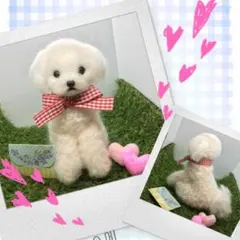 マルチーズ 犬 羊毛フェルト