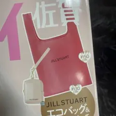 ゼクシィ 6月号 付録 JILLSTUART エコバッグ ポーチ