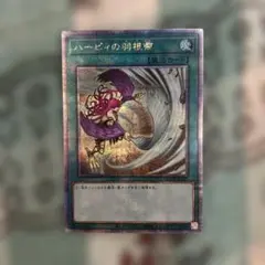 ハーピィの羽根帚 25th 絵違い - メルカリ