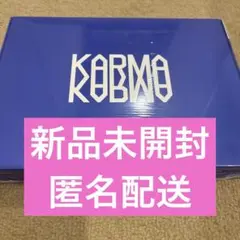 【新品未開封】Stray Kids KARMA CEREMONY VER.