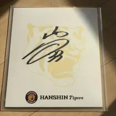 2026年最新】阪神 糸原 直筆の人気アイテム - メルカリ