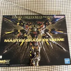 [メルカリ最安価格] MGEX ストライクフリーダム　現状完成品 改修＆全塗装完成品 MGEXストライクフリーダムガンダム【改修全