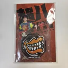 2026年最新】向山毅 アクスタの人気アイテム - メルカリ
