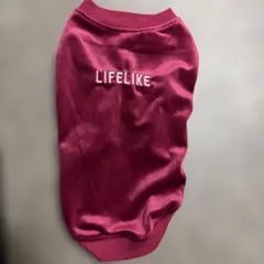 신품 미사용 品 LIFELIKE ベロア調 ドッグウェア ボルドー