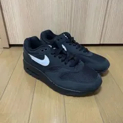 超レア・超美品】 NIKE ナイキ エアマックス 1 G 28.5cm