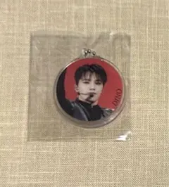 SEVENTEEN HYBE INSIGHT カプセルトイ アクキー ディノ