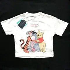 ディズニー　プーさん　フレンズ　Tシャツ　ティガー　ピグレット　イーヨー　コトリ