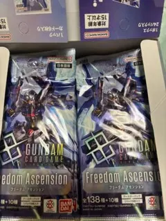 Freedom Ascension フリーダムアセッション 22パック