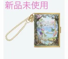 【新品未使用】ファンタジースプリングス パスケース ファンダフル限定