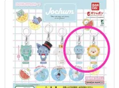 2026年最新】jochum マイクンの人気アイテム - メルカリ